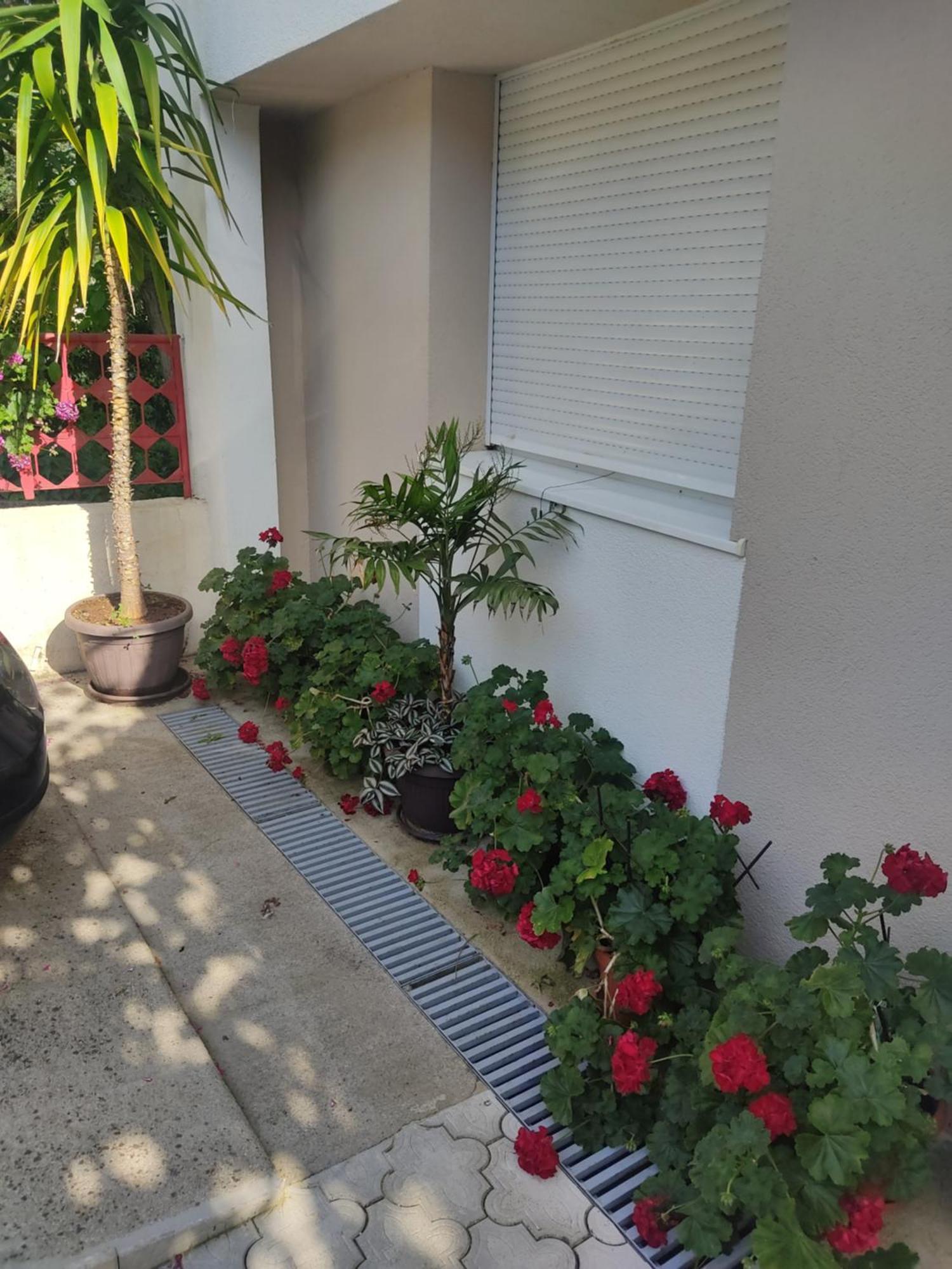 Apartments Ratkovic Τρέμπινιε Εξωτερικό φωτογραφία